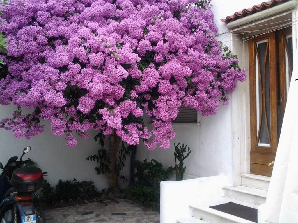 Villa Lea Viareggio Camera foto